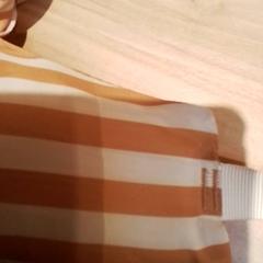 Puddle jumper, rapporterat av Beekse Bergen Resorts en Hotel med iLost