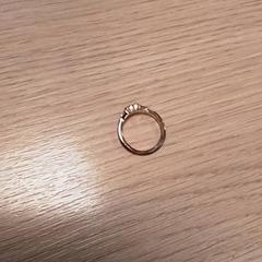 Anel, segundo informou Qbuzz Fryslân usando iLost