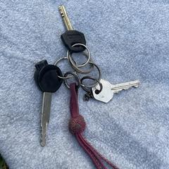 Sleutelbos, jak bylo nahlášeno na iLost