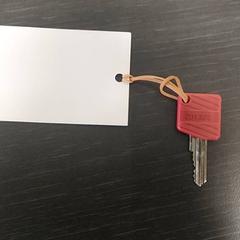 Clé, a été signalé par Regio Limburg - Leuven utilisant iLost