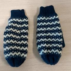 Wanten blauw-wit, zgłoszono przez Centraal magazijn przy użyciu iLost