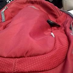 Mochila Rood/grijs, Muis, ha sido reportado por Qbuzz Fryslân con iLost