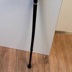 Chodiaca palička, ako bolo nahlásené Qbuzz ZHN pomocou iLost