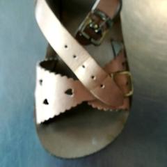 Sandal, as reported by Burgers' Zoo using iLost