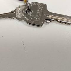 İLost kullanarak Centraal magazijn tarafından bildirildiği gibi Anahtarlar 2 Sleutels