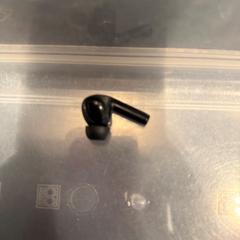 Oortje, segons ha informat Hotel Van der Valk Harderwijk op de Veluwe mitjançant iLost