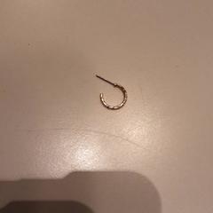 Earring, as reported by LUMC using iLost