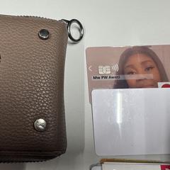 portemonee bosha, som rapporterats till iLost