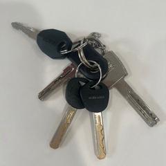 キーホルダー sleutelbos がiLostで TU/e - Receptie Atlas によって報告されました