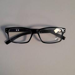 Ulleres Leesbril, segons ha informat Dolfinarium mitjançant iLost