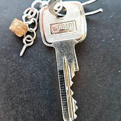 Clé, a été signalé par RRReis IJssel-Vecht Lelystad utilisant iLost