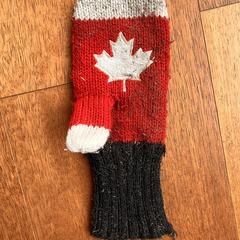 Handschoen, som rapportert til iLost