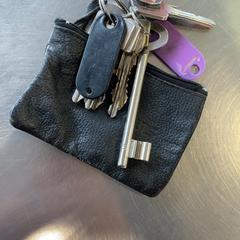 Llavero Met een zwart portemonneetje, ha sido reportado por Burgers' Zoo con iLost