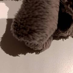 Knuffel, as reported by De Efteling using iLost