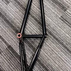 Bike & Frame onderdeel Frame, as reported by Arriva Vechtdallijnen using iLost
