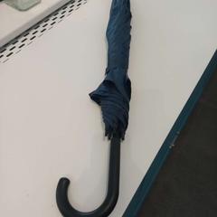 우산 Blauw, iLost를 사용하여 Arriva Limburg Zuid에 보고됨