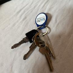 Sleutelbos met Saltotag, som rapporterats till iLost