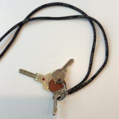 Nøkkelring, som rapportert av Gemeente Weert ved bruk av iLost