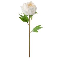Produit IKEA SMYCKA, a été signalé par IKEA Mons utilisant iLost