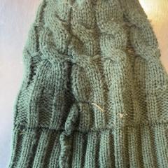 ビーニー Groen がiLostで Burgers' Zoo によって報告されました