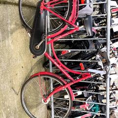 Damenrad Batavus Rood, gemeldet von Stadswerk072 über iLost