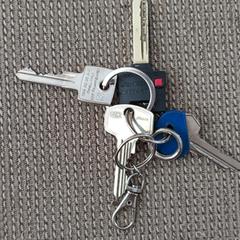 Sleutelbos, como reportado ao iLost