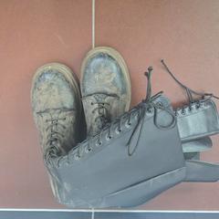 Botas, segundo informou WestCord Hotel Eindhoven usando iLost