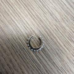 Earring, as reported by TCR Tours using iLost