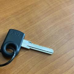 Clau, segons ha informat Arriva Achterhoek-Rivierenland mitjançant iLost