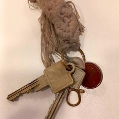 Chaves, segundo informou Arriva Limburg Noord usando iLost