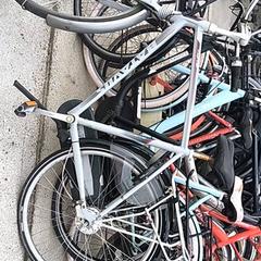 Pánsky bicykel batavus, ako bolo nahlásené Stadswerk072 pomocou iLost