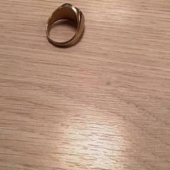 Anel goudkleurig, segundo informou Qbuzz Fryslân usando iLost