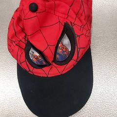 Sapka, amint azt IKEA Hasselt az iLost segítségével jelentette.