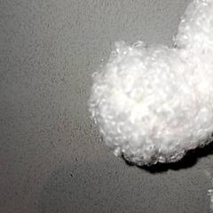 Souvenir, segons ha informat De Efteling mitjançant iLost