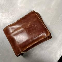 Zorroa Blom, gisa salatu by Arriva Friesland / Groningen iLost erabiliz