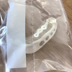 Bitje, come riportato da Gemeente Alkmaar utilizzando iLost