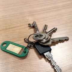 Keychain Met groen label, as reported by RRReis Veluwe Zuid - Ede using iLost