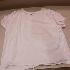 Samarreta Wit, segons ha informat Van der Valk Hotel Schiphol mitjançant iLost