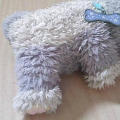 Leksak, rapporterat av Het Spoorwegmuseum med iLost