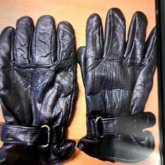 Gants Svart, a été signalé par Keolis Landskrona utilisant iLost