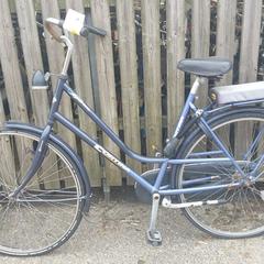 自転車 Cortina Blauw がiLostで Fietsdepot Meierijstad によって報告されました
