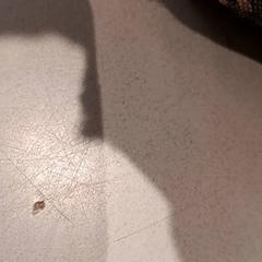 バッグ がiLostで De Efteling によって報告されました