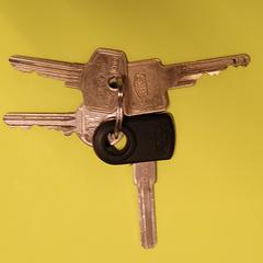 Sleutelbos, ako bolo nahlásené iLost