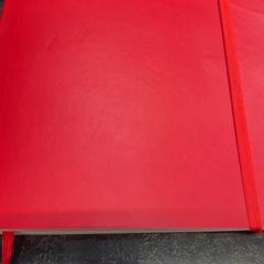 Taccuino, come riportato da Rotterdam The Hague Airport utilizzando iLost