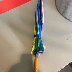 Dáždnik rainbow, ako bolo nahlásené TU/e - Receptie Neuron pomocou iLost