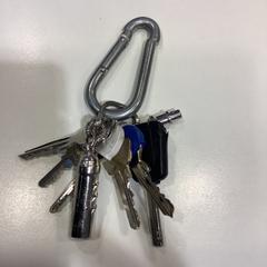 Sleutels, a été signalé par Gemeente Amsterdam utilisant iLost