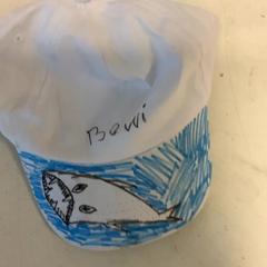 Cap, as reported by Artis using iLost