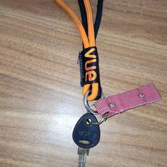 Nøkkel, som rapportert av Qbuzz DMG ved bruk av iLost