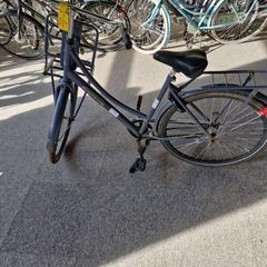 İLost kullanarak Gemeente Roermond tarafından bildirildiği gibi Damesfiiets