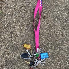 Sleutelbos، كما تم الإبلاغ عنه عبر iLost